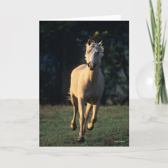 Carte Bob Langrish | Palomino Horse Running Backlight (Devant)