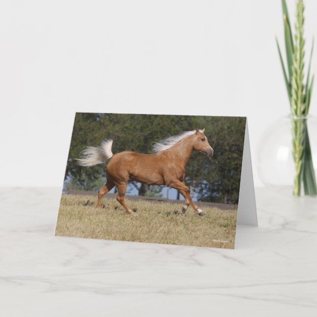 Carte Bob Langrish | Palomino Quarter Cheval Courir (Devant)