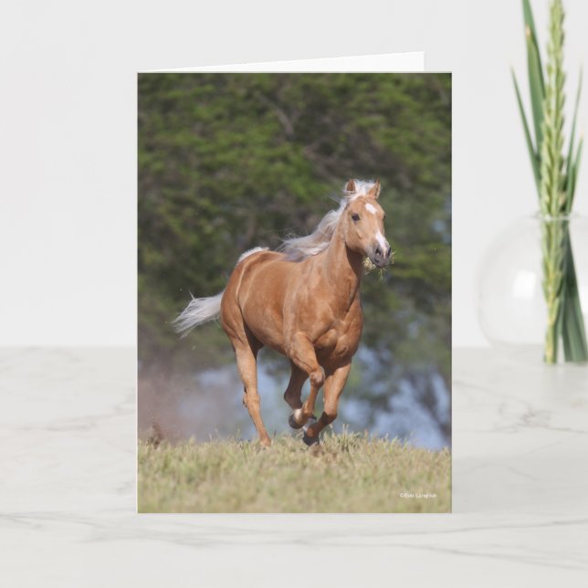 Carte Bob Langrish | Palomino Quarter Cheval Courir (Devant)