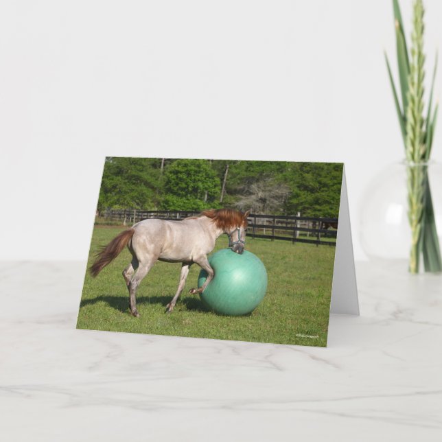 Carte Bob Langrish | Paso Fino Cheval Jouer Avec Ball (Devant)