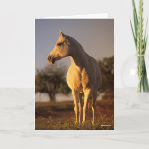 Carte Bob Langrish Poignée arabe grise