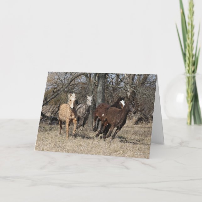 Carte Bob Langrish | Quatre Chevaux De Courbe Bashkir Co (Devant)