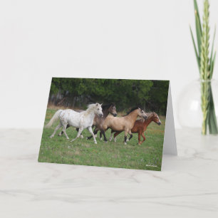 Carte Bob Langrish Quatre Poney Courant Ensemble
