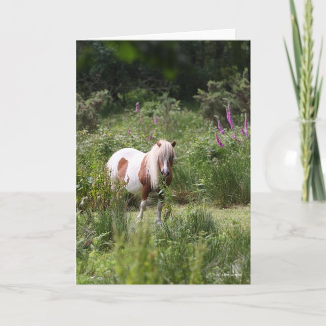 Carte Bob Langrish | Shetland Pony Debout De Fleurs (Devant)