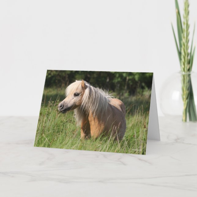Carte Bob Langrish Shetland Pony debout en herbe longue (Devant)
