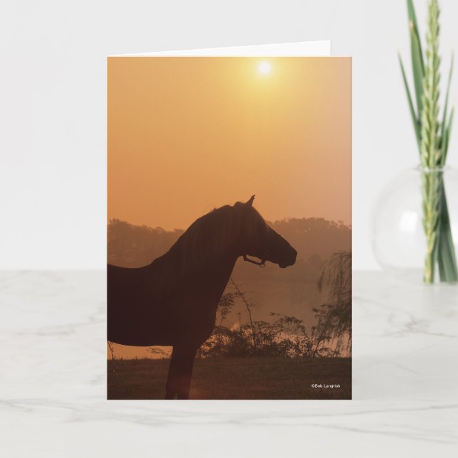 Carte Bob Langrish | Silhouette Rocky Mountain Horse (Devant)