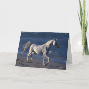Carte Bob Langrish Stallion Arabe Gris Marchant Sur La