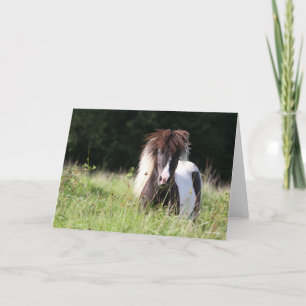 Carte Bob Langrish Stallion Shetland debout Dans L'Her