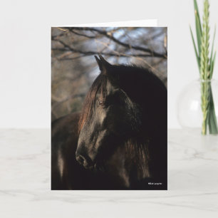 Carte Bob Langrish Tennessee Walker noir