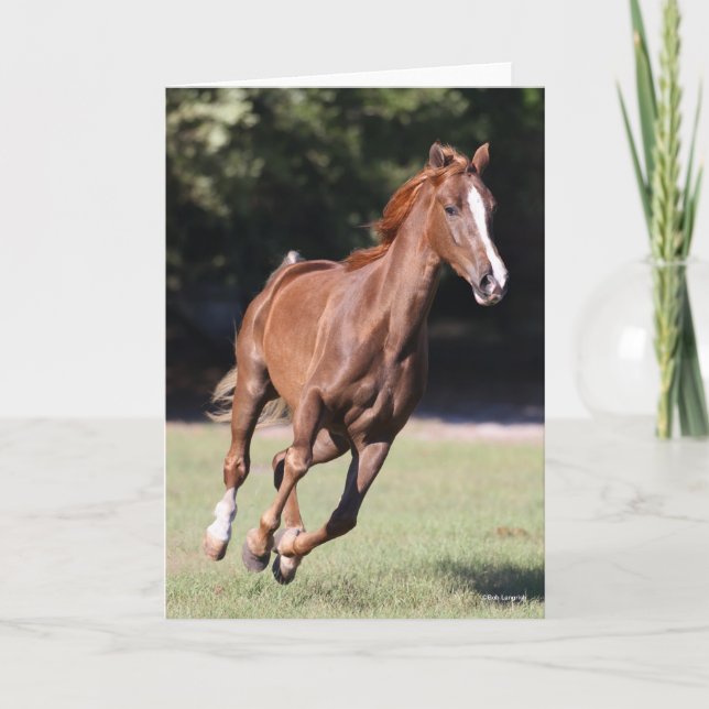 Carte Bob Langrish | Tennessee Walker Testnut Running (Devant)