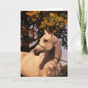 Carte Bob Langrish   Tête de tête d'étoile arabe grise 4