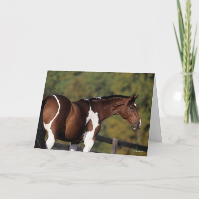 Carte Bob Langrish | Tête de tête Pinto Warmblood Standi (Devant)