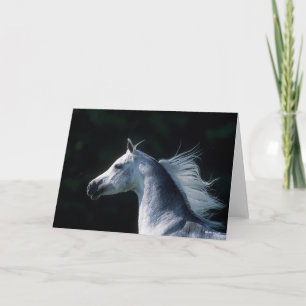 Carte Bob Langrish   Tirage arabe gris 3