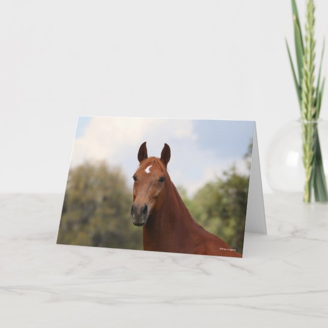 Carte Bob Langrish | Tirage de châtaignier Oldenburg (Devant)