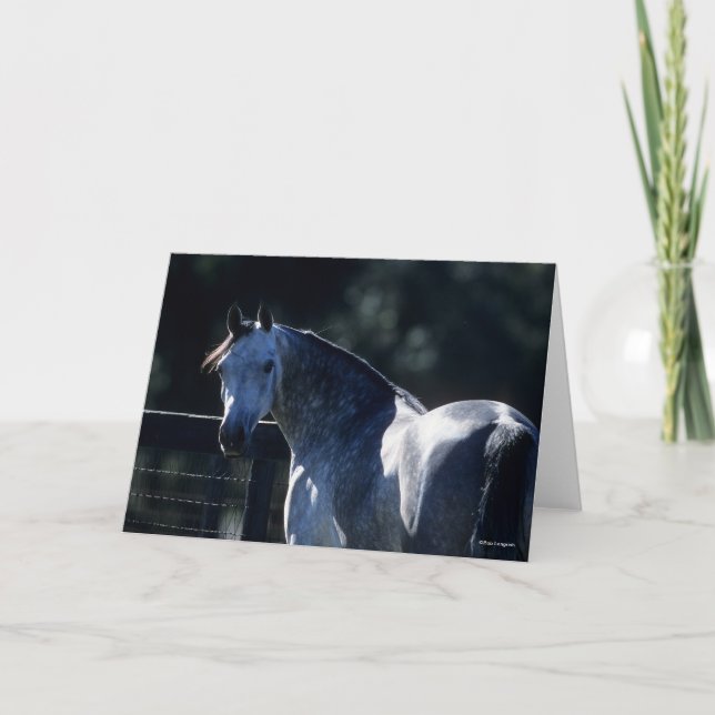 Carte Bob Langrish | Tirage de tête arabe gris-pomme rét (Devant)