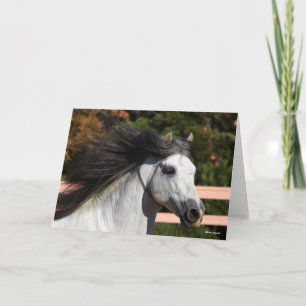 Carte Bob Langrish Tirage d'écran gris de Stallion and