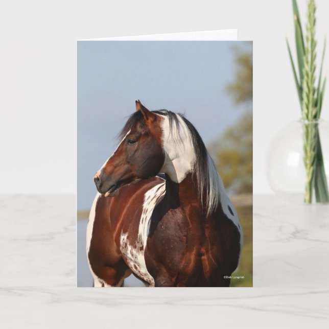 Carte Bob Langrish Tobiano Paint Horse Stallion tête (Devant)