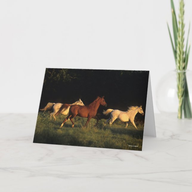 Carte Bob Langrish Trois Arabes Courent Dans La Lumière  (Devant)