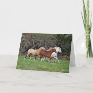 Carte Bob Langrish   Trois Poney Courent Ensemble