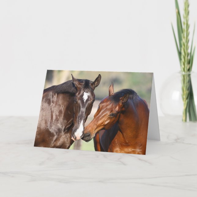 Carte Bob Langrish | Two Canadian Sport Horses Meeting (Devant)