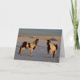 Carte Bob Langrish Two Paint Horses In The Snow
