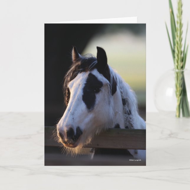 Carte Bob Langrish | Vannière tzigane surplombant la clô (Devant)