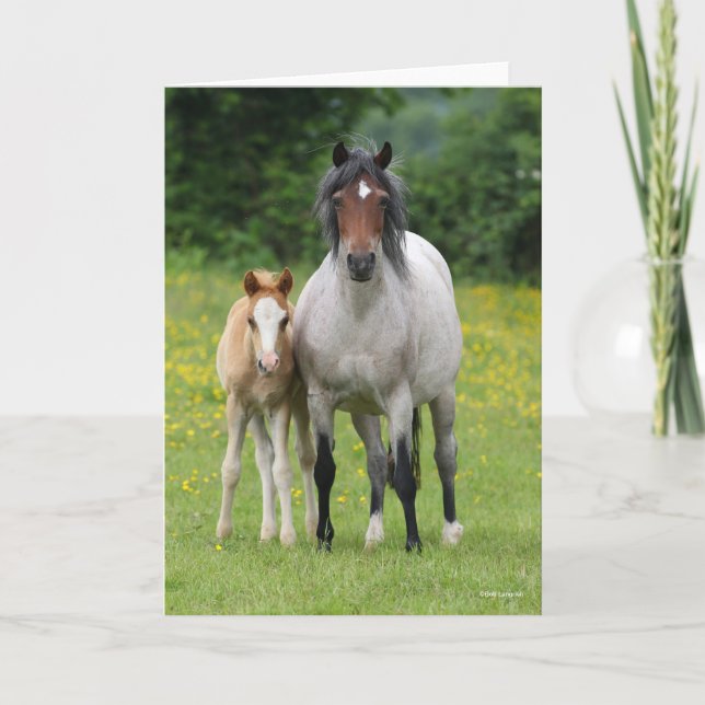 Carte Bob Langrish | Welsh Pony Mare and Foie Standing (Devant)