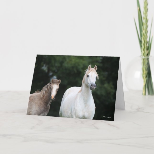 Carte Bob Langrish | Welsh Pony Mare et Foie (Devant)