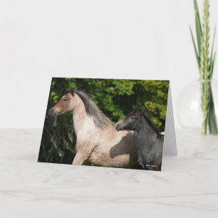 Carte Bob Langrish Welsh Pony Mare et Foie Headshot