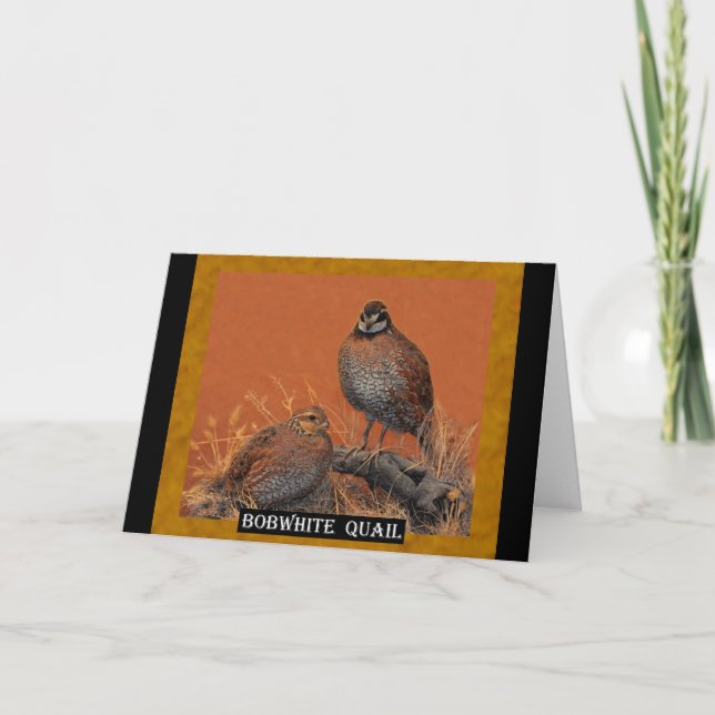 Carte Bobwhite Quail (Géorgie, Missouri et Tennessee) (Devant)