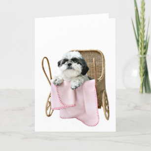 Carte Boguet de bébé de Shih Tzu