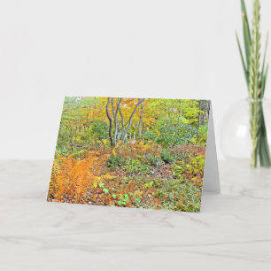 Carte "Bois d'automne" (photo./ manip numérique.)