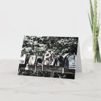 Boîtes aux lettres sur le vignoble Salutation