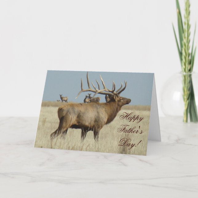 Carte Boîtier de troupeau E4 Bull Elk (Devant)