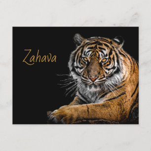 Carte Boîtier Golden Tiger