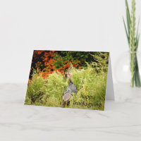 Bon thanksgiving des fuites de la Turquie sauvage