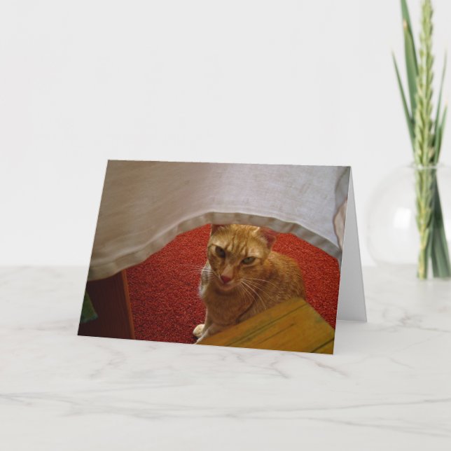 Carte Bonjour, (Devant)