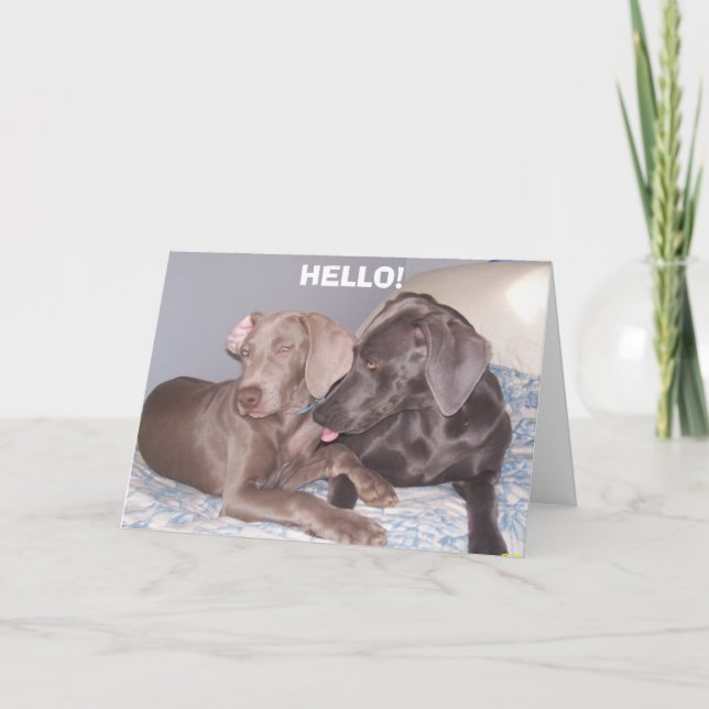 CARTE , BONJOUR ! (Devant)