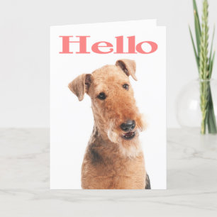 Carte Bonjour Airedale Puppy Dog Greeting Card - Verso
