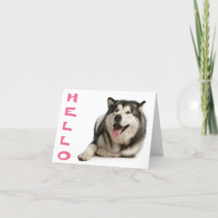 Carte Bonjour Alaskienne Malamute Chien Chien Chien Note