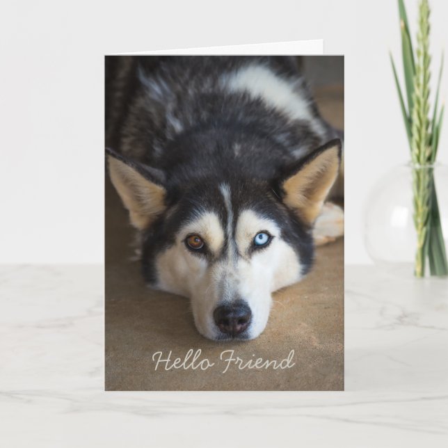 Carte Bonjour ami Husky Dog Salutation personnalisée (Devant)