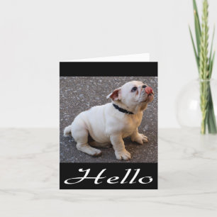 Carte Bonjour Anglais Bulldog Chien Chien Chien Chien No