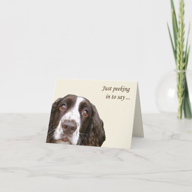 Carte Bonjour Anglais Springer Spaniel Card (Devant)