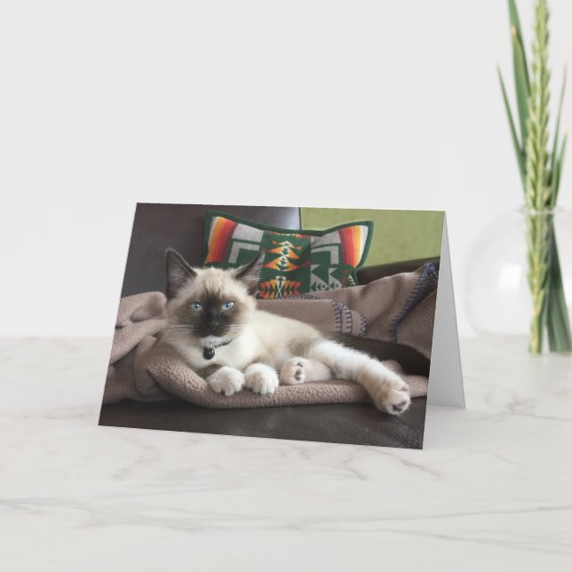 Carte Bonjour Beau Siamese Kitten Penser De Vous (Devant)