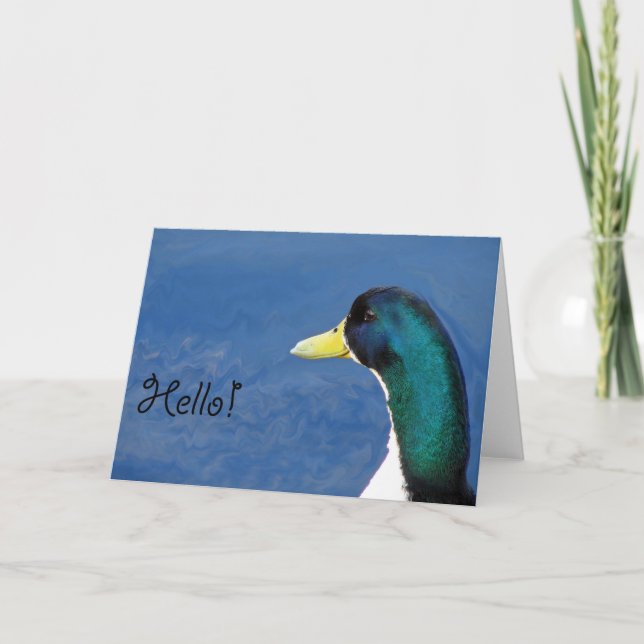 Carte Bonjour canard (Devant)