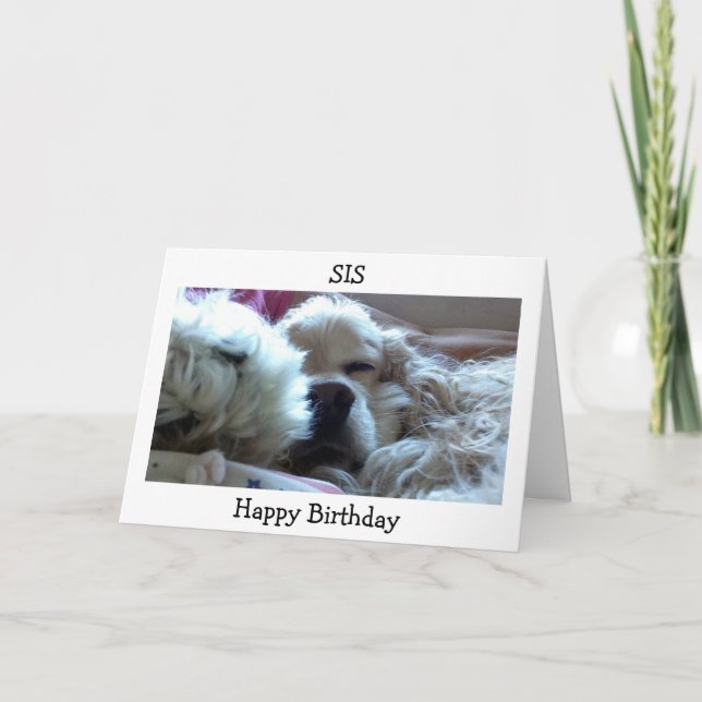 CARTE BONJOUR D'ANNIVERSAIRE SIS-PRENDRE NAP/FAIRE CE QU (Devant)