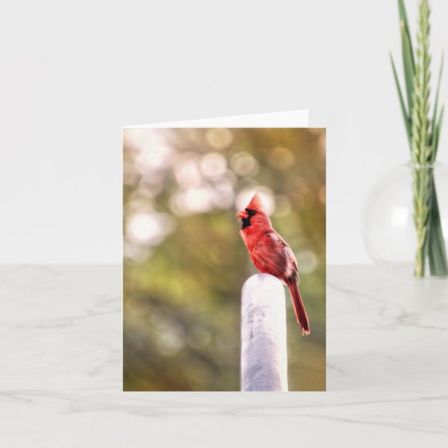 Carte Bonjour de M. Cardinal Note Card (Devant)