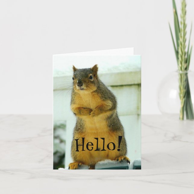 Carte Bonjour de Squirrel (Devant)