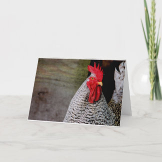 Carte Bonjour, Elmer !