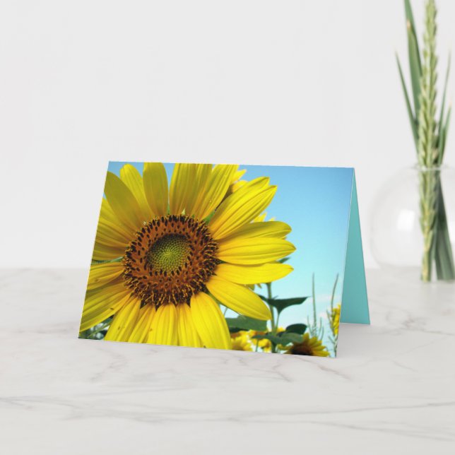 Carte Bonjour ensoleillé (Devant)